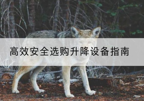 甘泉升降货梯厂家推荐-*安全选购升降设备指南