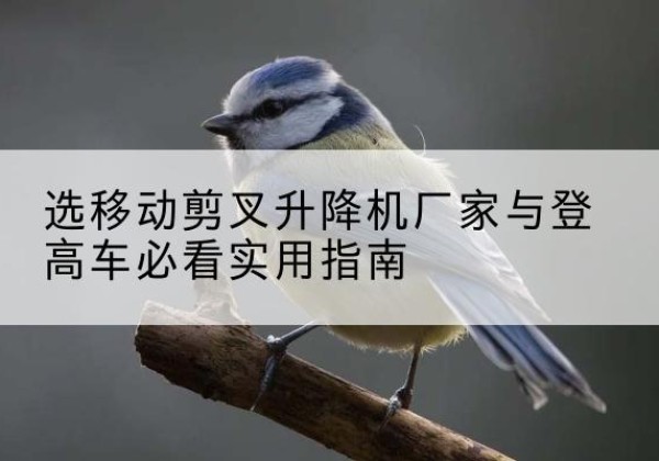 甘泉电动升降机厂家-选移动剪叉升降机厂家与登高车必看实用指南