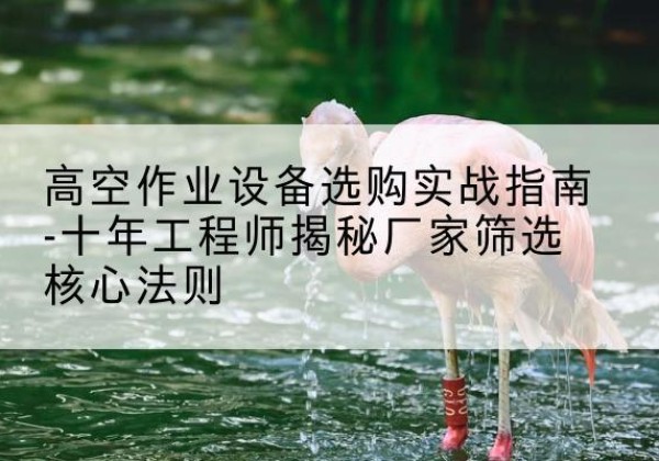 甘泉剪叉式升降机厂家-高空作业设备选购实战指南-十年工程师揭秘厂家筛选核心法则